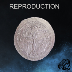 Coin Reproduction